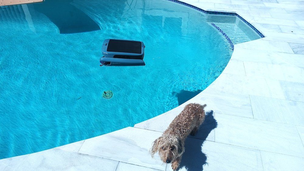 photo of Beatbot iSkim Ultra pool skimmer in the pool cleaning.