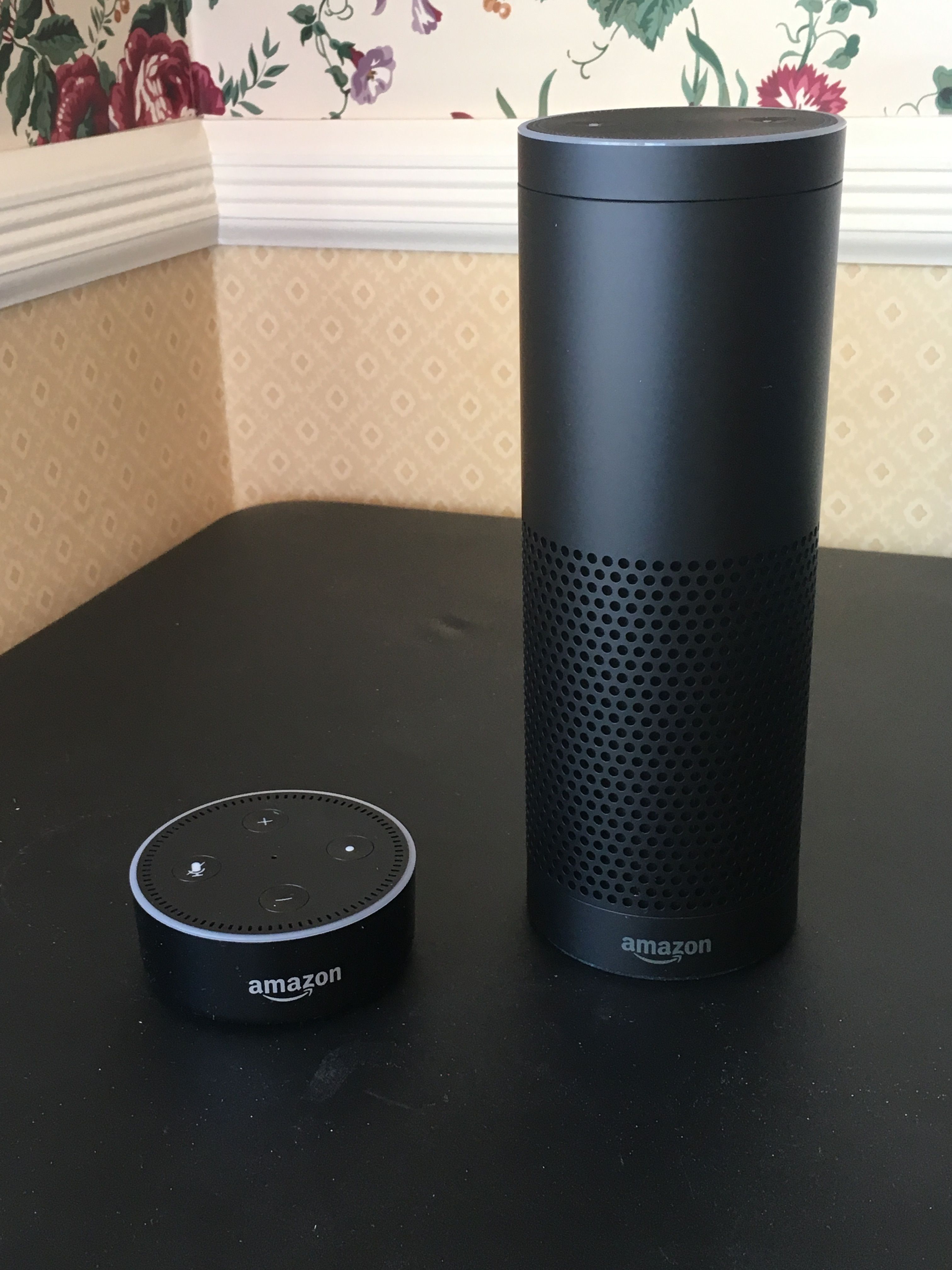 a photo of Amazon Echo Dot and Echo speaker 1st gen